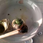 a17fa36dfbd43019e7af31d69532c519