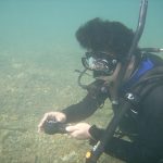 b5d832e110e2c4af57ae7364acfd7ba0