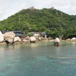 810bf215791f3c3f84fce9687e35c5df