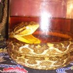 3ee48e7aabcb53c573c3aa388f2087331