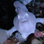 M0012547