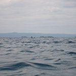 M0012703