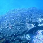 M00131802