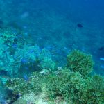 e97b250fbb485c9e53258fad3d101238