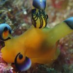 005e740d11b3022128fa44bd8903a1d5