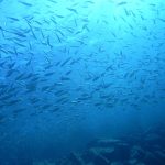 ebb42dded2e63c9995f01be0bb63d7d1