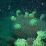 21f9a27556c0401f4c855f0711b287b0