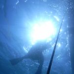 26e86263801812dfc67b22472c78c6a9