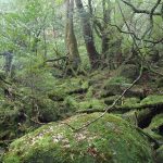 7534bcbb9a6369040cec31a149710866