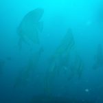 76467be48e7a010d837a0c054f1109f5