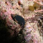 16643ae28f8f457fd7d0bc4a6282807e