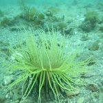 6ea03398b1c627b0f585d5f938d66c58