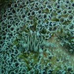 89fe3434b1f0eb74a7fae23281aad410