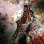 ca290d453a5fb553619c2763d8b5e0c81