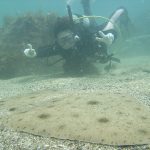 749c3bdaaa6e5ce97f577e762b69e504