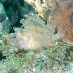 baffd41c8226b2282b817e845b9de188