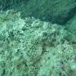 c3a9eb94aaeb94d272049497e1a7e64d