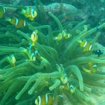 3fd29b2e8ecb59a514a516dd3fb22c6e