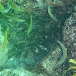 58b7962e1c108dce99aea7a26a116b88