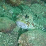 a538587b6c6b83d3086efb262abc32a4