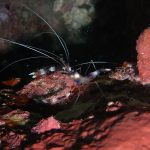 76c86d8bebec48dd3da29321b4038b91