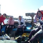 ドルフィンスイム