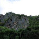 IMG_0332
