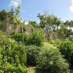 IMG_1545
