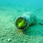 IMG_1913