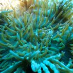 37e3808047553cedb34daa9b1d7ab2a3