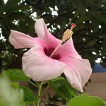 P7160239