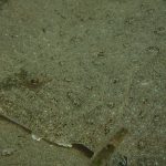 P8110009