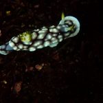 P1170008