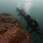 紀伊大島ツアー