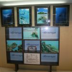 水中写真展タルタルーガブース２