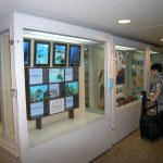 第3回水中写真展タルタルーガブース１