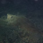 M0043723